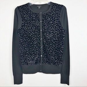 Ann Taylor Velvet Burnout Leopard Cardigan Sweater